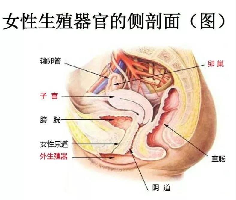 微信图片_20210901160307.jpg